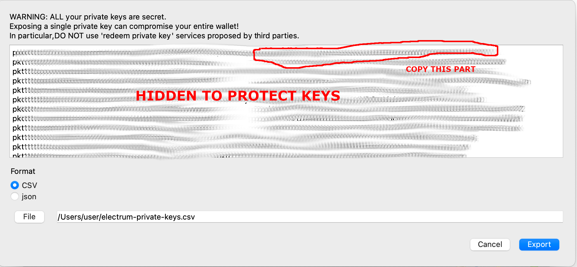 electrum_export2.png